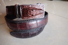 belts crocodile 
